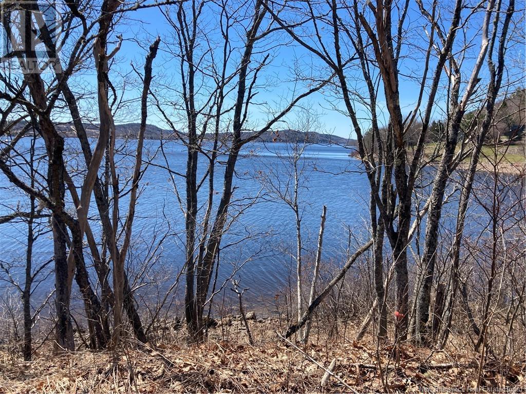 2879 Route 124 Property Photo 20