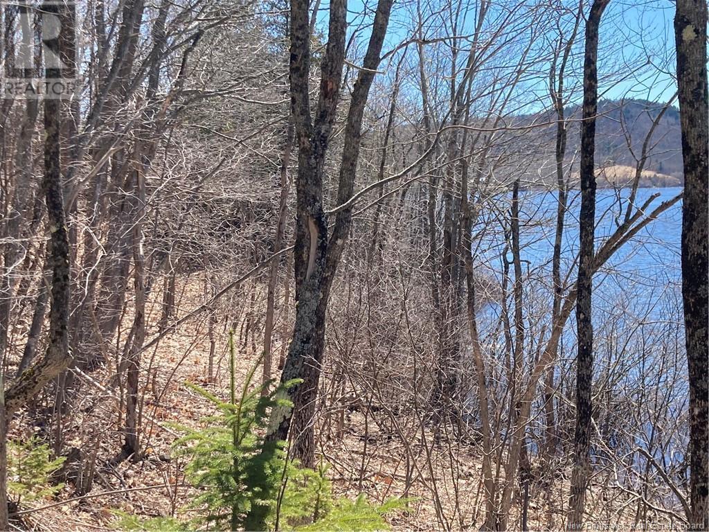 2879 Route 124 Property Photo 21