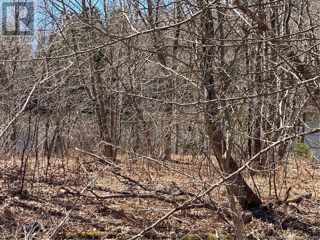2879 Route 124 Property Photo 22
