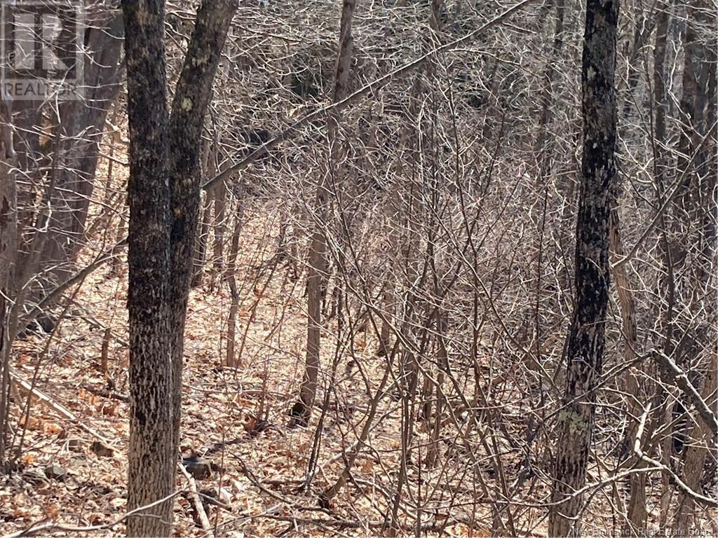 2879 Route 124 Property Photo 23