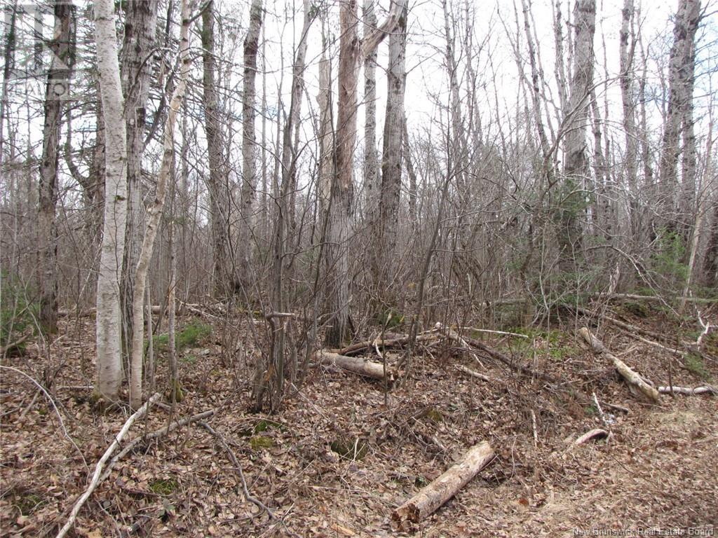 N/a Ch Pellerin Road Property Photo 5
