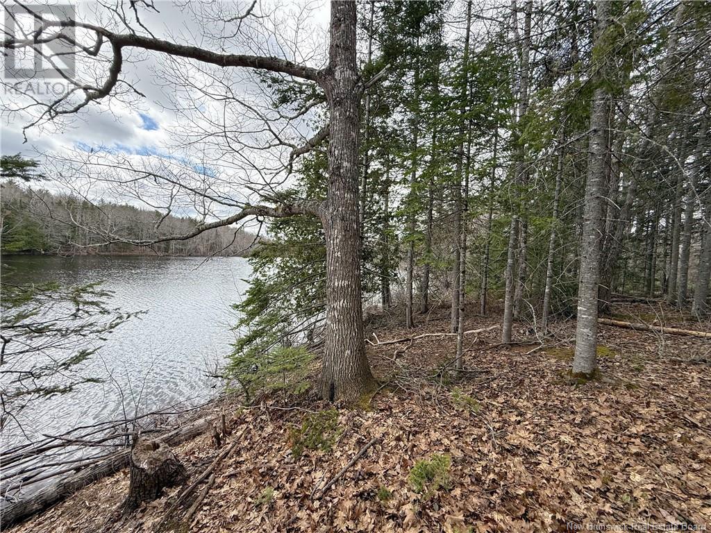 36 Route 715 Property Photo 4