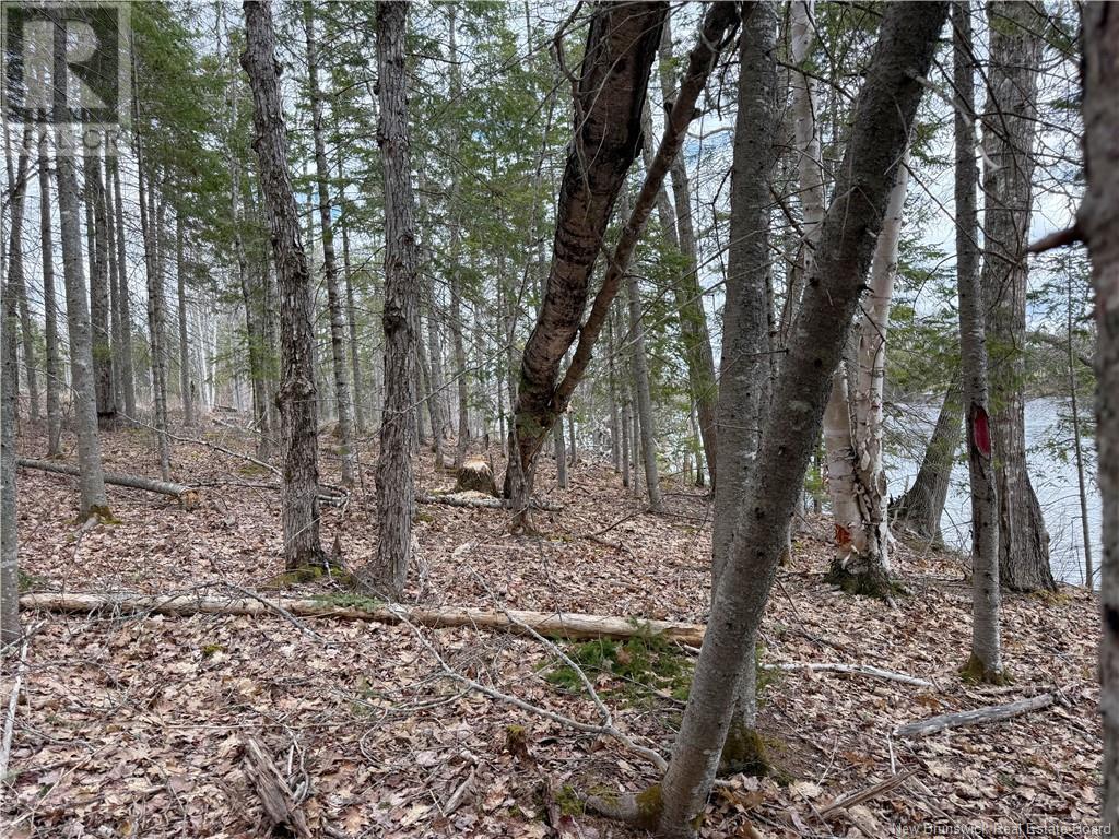 36 Route 715 Property Photo 15