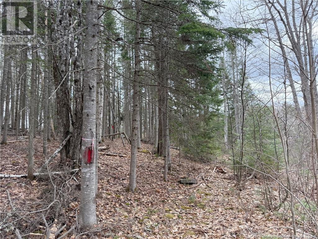 36 Route 715 Property Photo 26