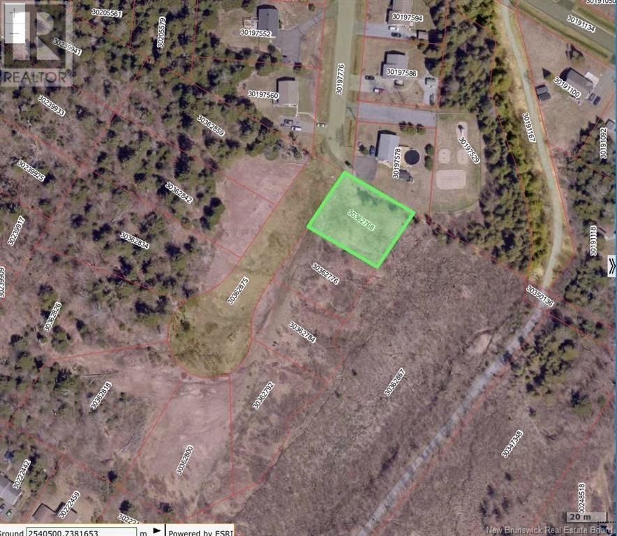 59 Goldrush Drive Property Photo 10