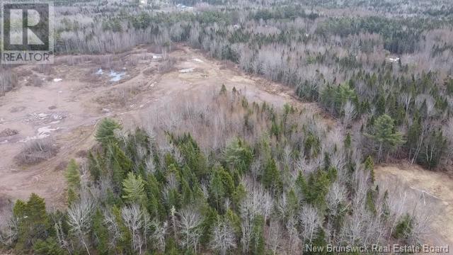 Vacant Warren Road Property Photo 4