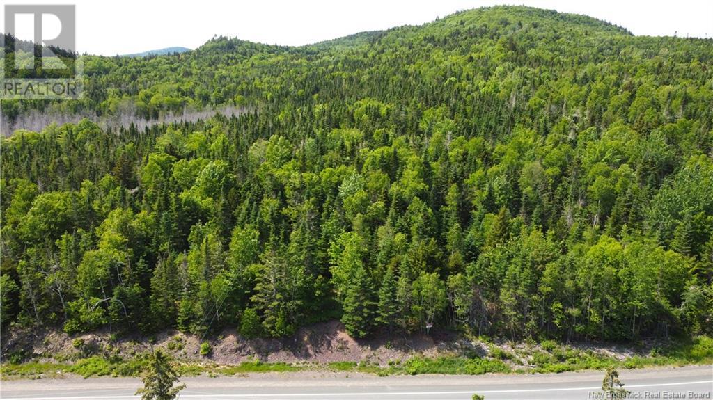 Lot 2024-2 Route 127 Property Photo 1