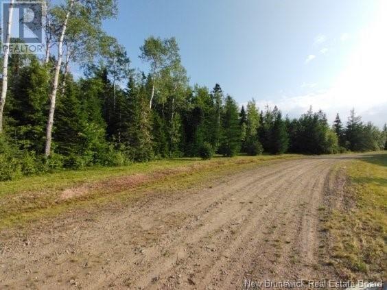 Lot-15-3 Route 134 Property Photo 1