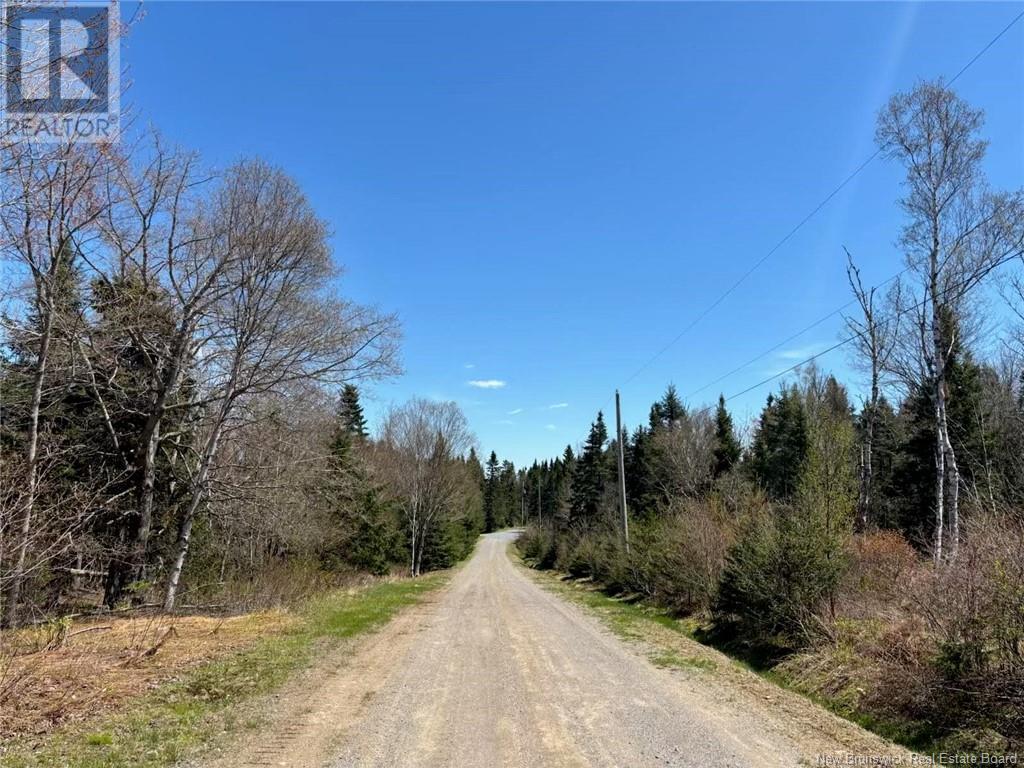Lot 25-4 Peaceful Mountain Lane Property Photo 1