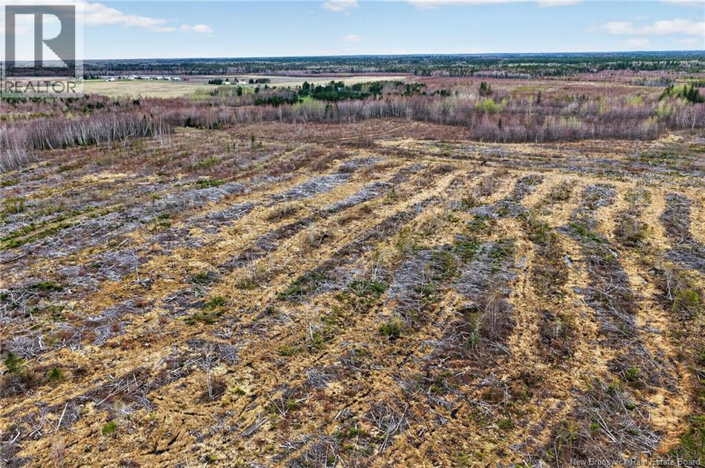 Lot Perry Road Property Photo 5