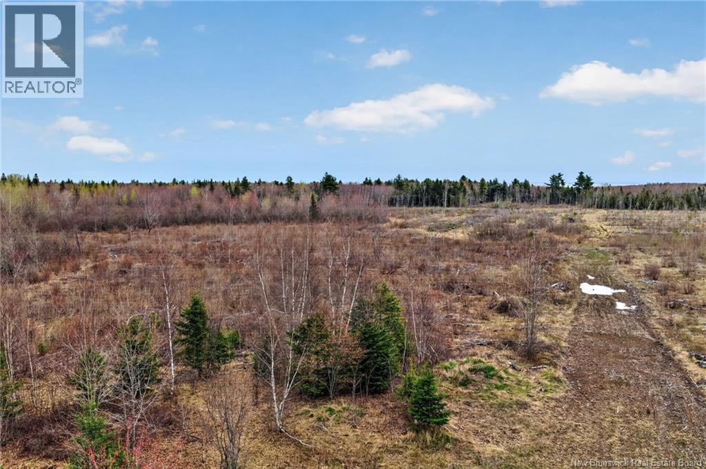 Lot Perry Road Property Photo 6