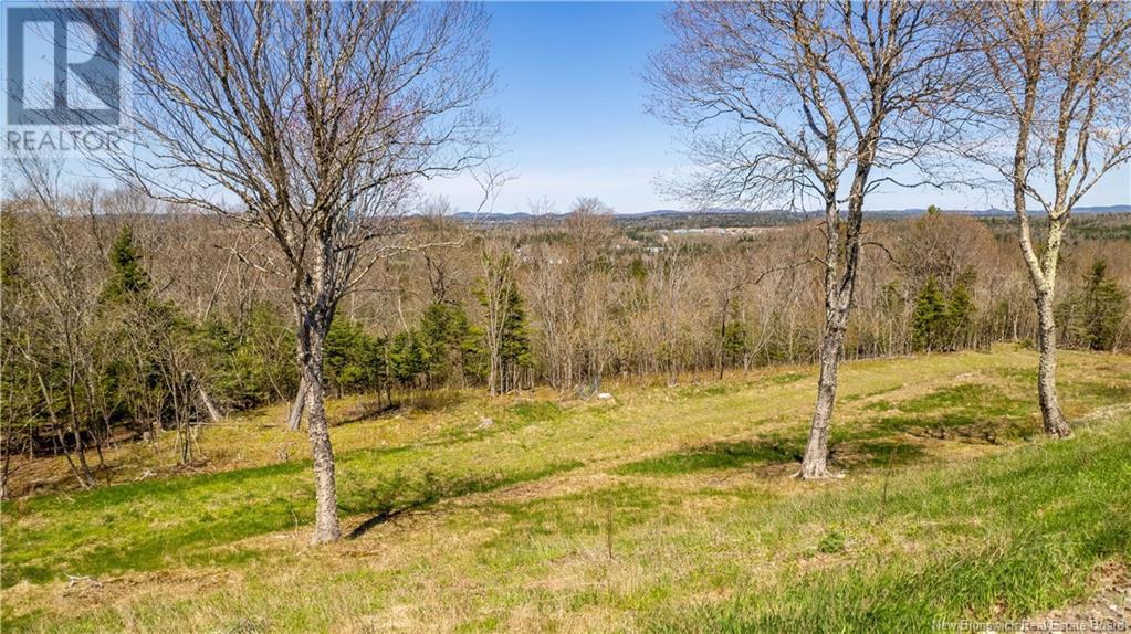 166 176 Route Property Photo 14