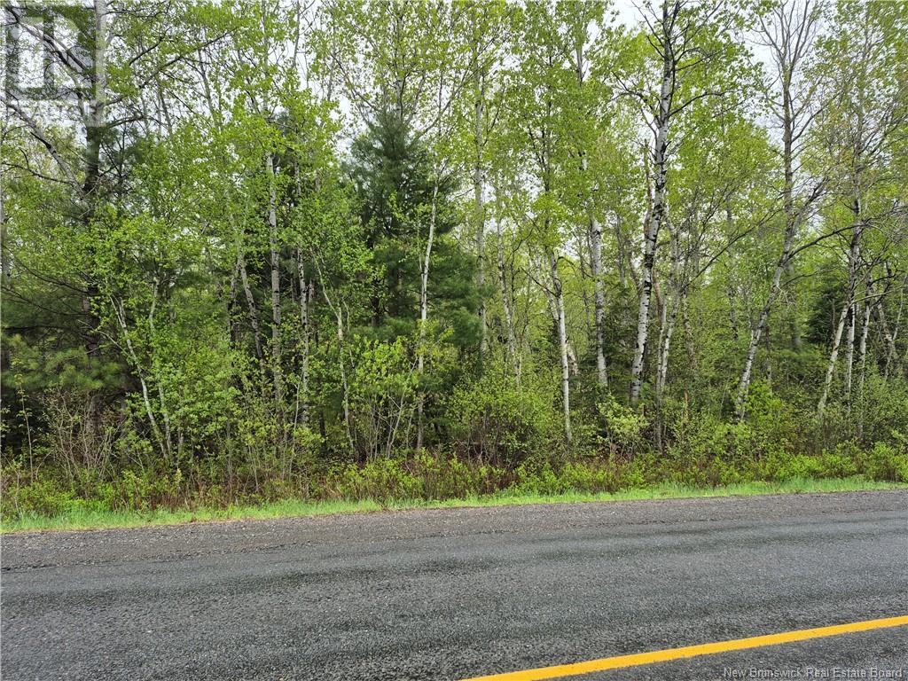 Lot 3 Rte 617 Property Photo 1