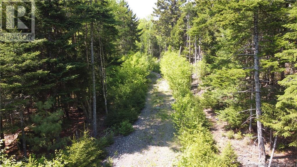 0 Shore Road Property Photo 17