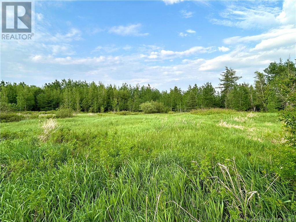 21 Acres Russell Road Property Photo 1