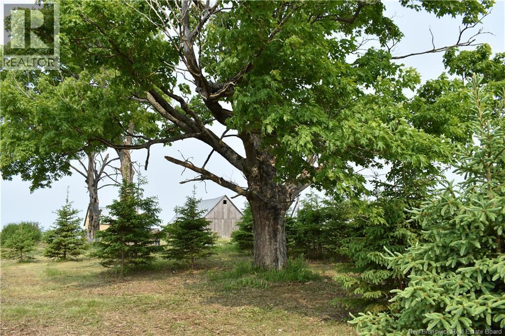 604 Charleston Road Property Photo 25