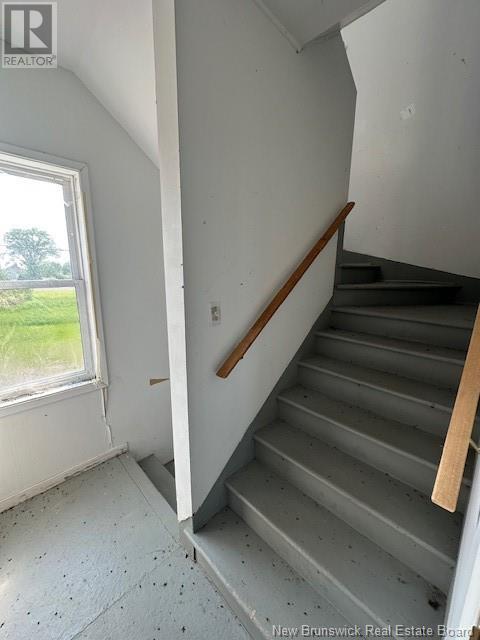 4117 Main Street Property Photo 15