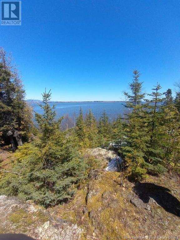 0 Mercier Road Property Photo 2