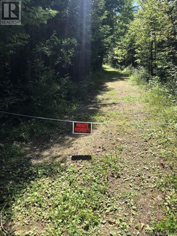 0 Mercier Road Property Photo 7