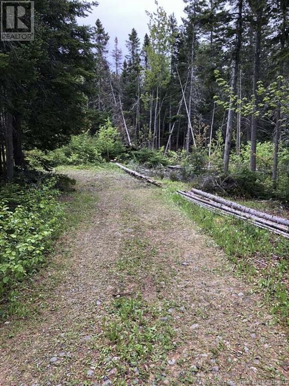 0 Mercier Road Property Photo 8