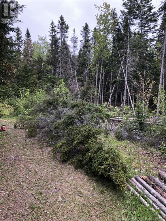 0 Mercier Road Property Photo 9