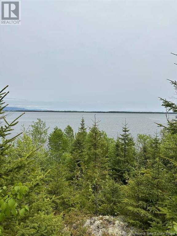 0 Mercier Road Property Photo 10