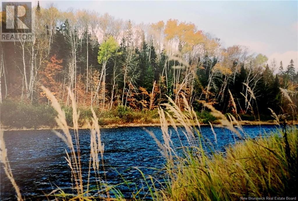 Woodlot Route 8