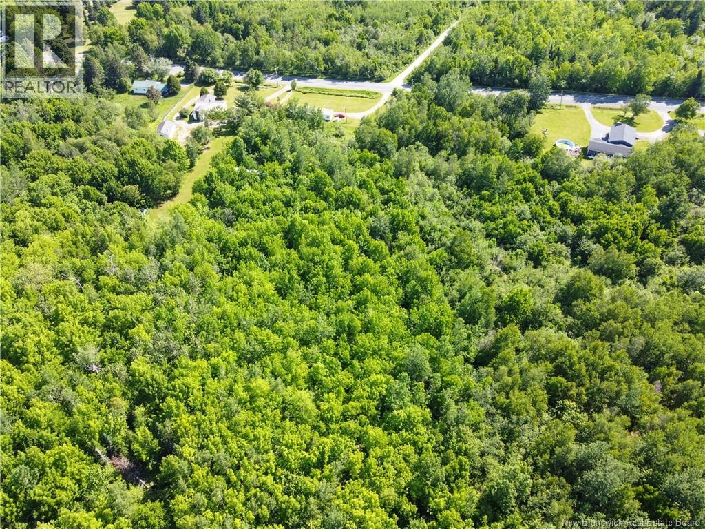 Lot 165 Route Property Photo 9