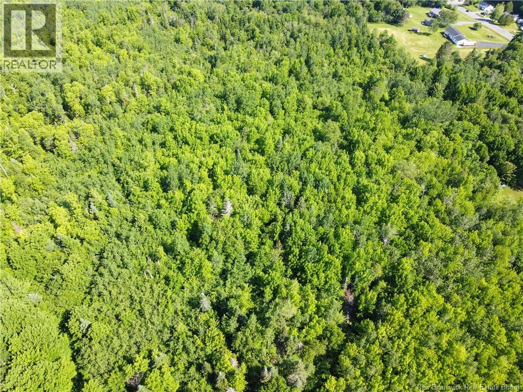 Lot 165 Route Property Photo 12