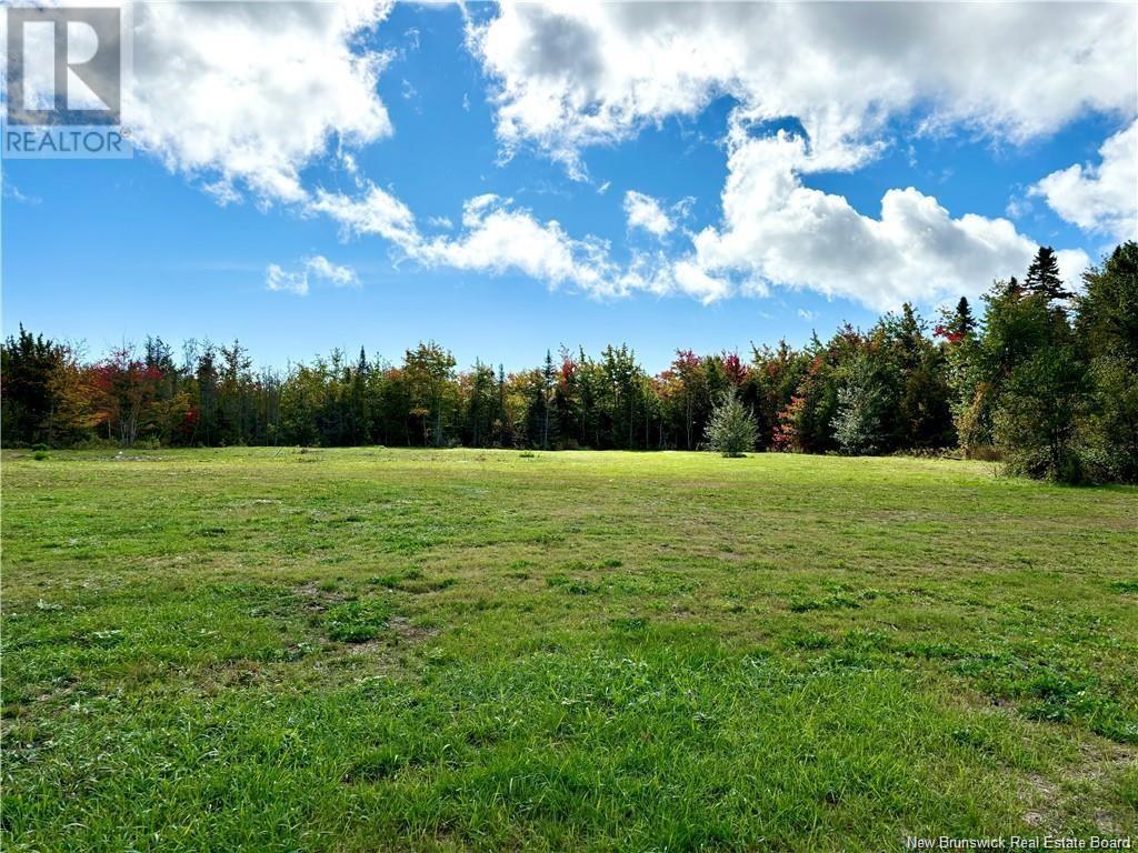 2.96 Acres Principale Street Property Photo 2