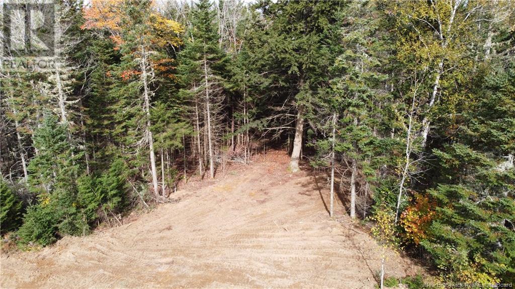 Lot Glencoe Road Property Photo 6