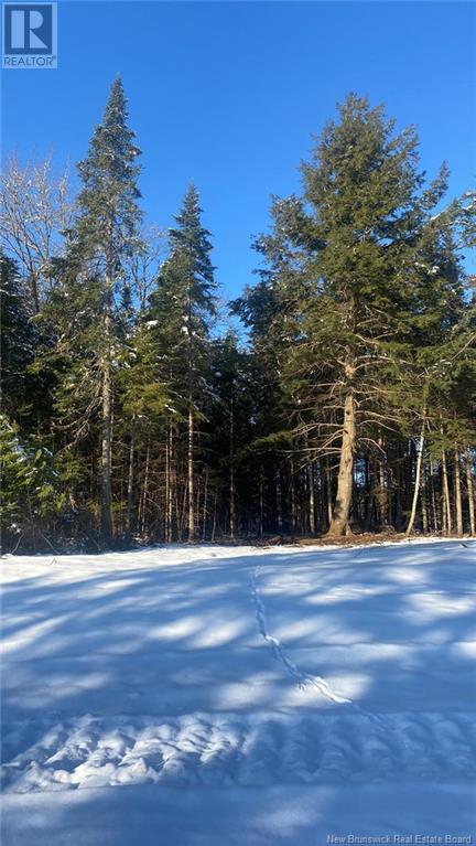 Lot Glencoe Road Property Photo 7