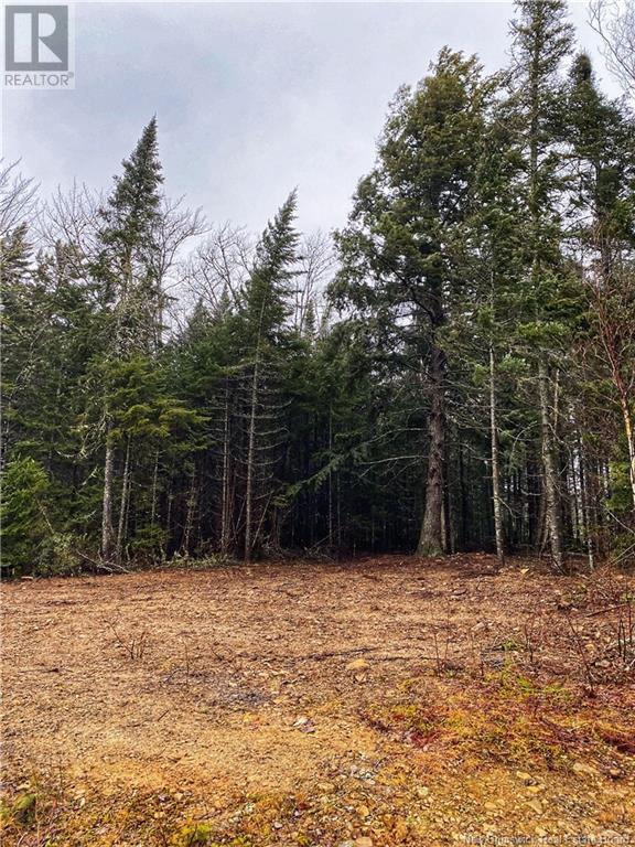 Lot Glencoe Road Property Photo 9