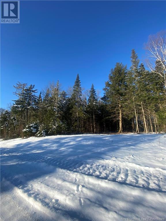 Lot Glencoe Road Property Photo 14