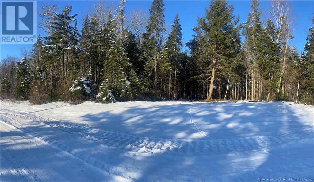 Lot Glencoe Road Property Photo 19