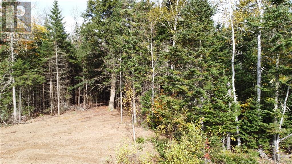 Lot Glencoe Road Property Photo 23