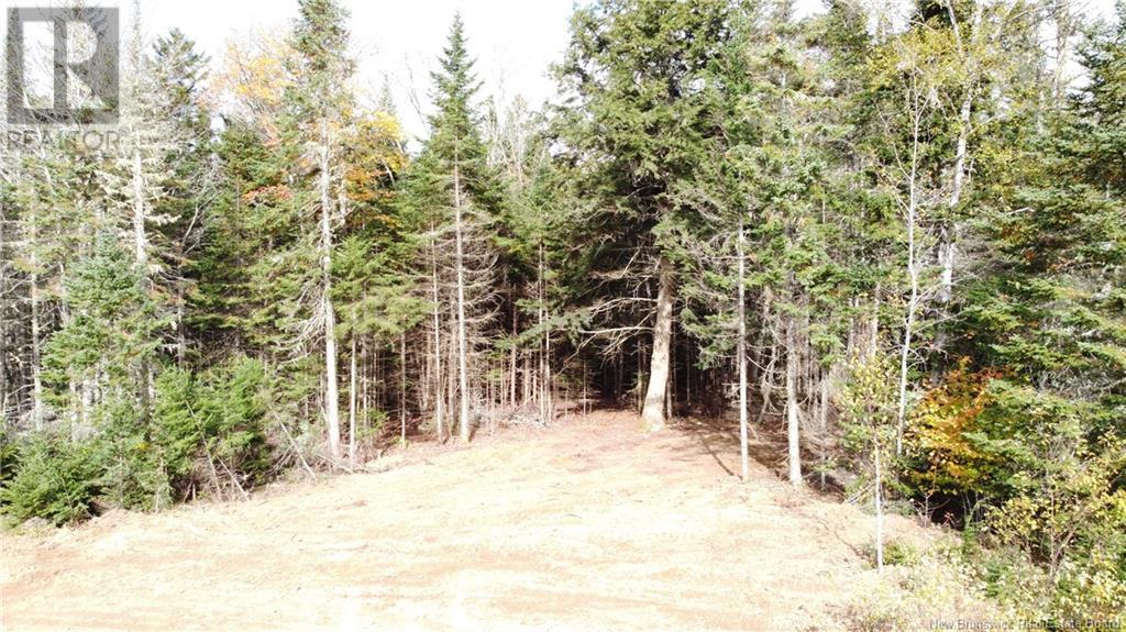 Lot Glencoe Road Property Photo 24