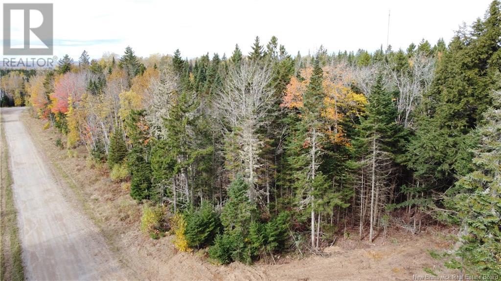 Lot Glencoe Road Property Photo 32