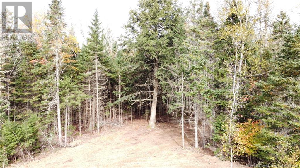 Lot Glencoe Road Property Photo 33