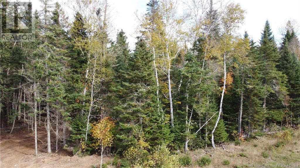 Lot Glencoe Road Property Photo 34