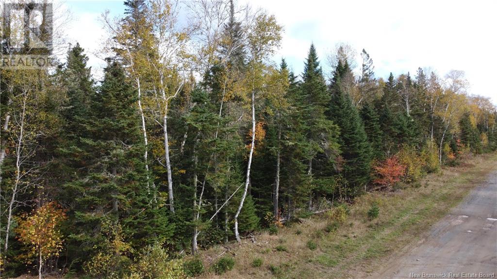 Lot Glencoe Road Property Photo 35