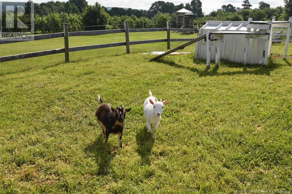251 616 Route Property Photo 27