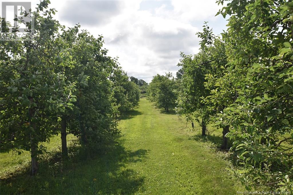 251 616 Route Property Photo 29