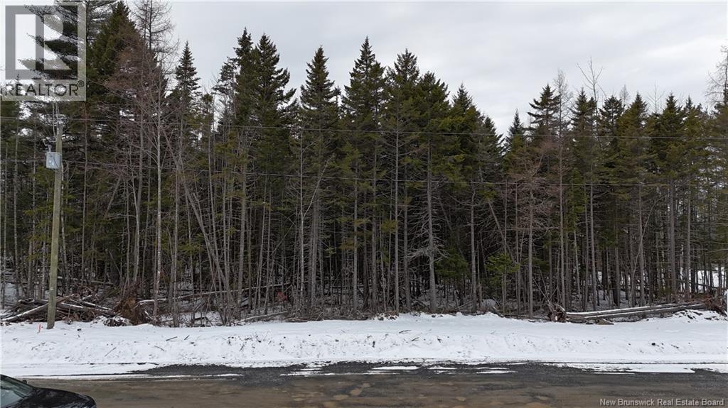 Lot 2024-20 Eagles Lane Property Photo 1
