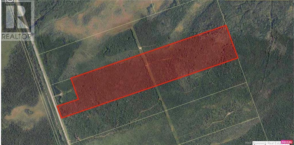 Wood Lot Route 126