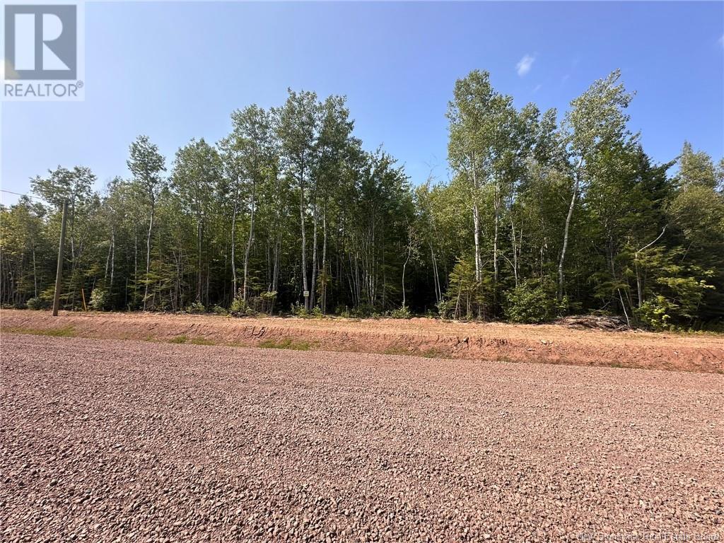 Lot 25-41 Snowfox Drive Property Photo 4