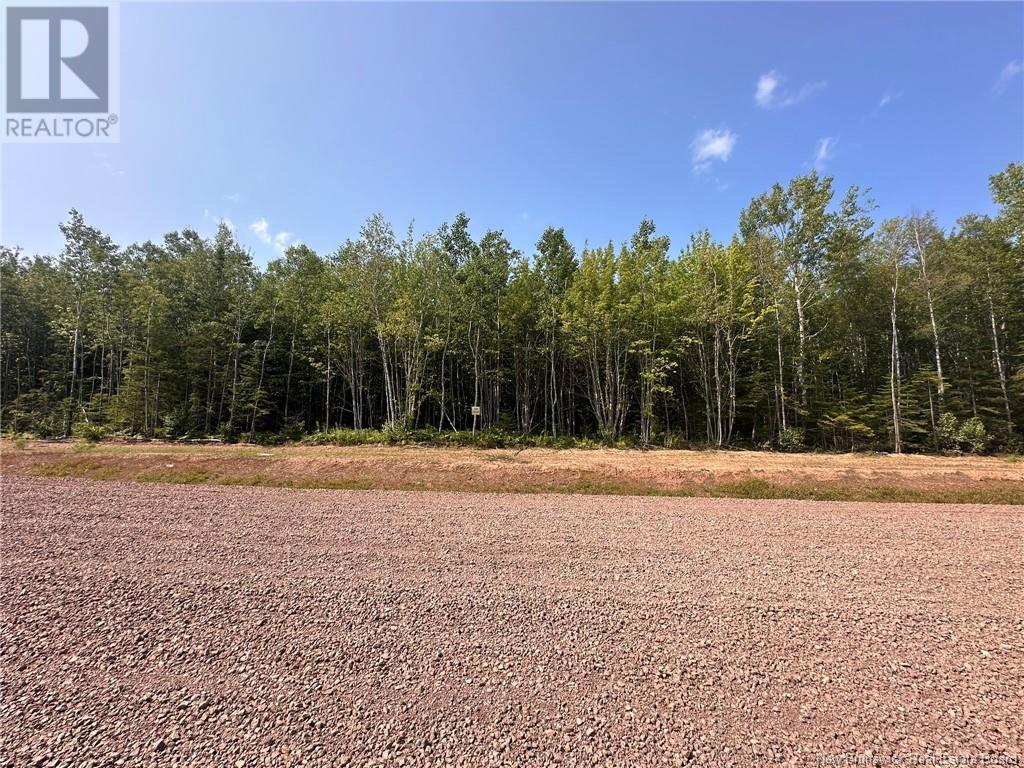 Lot 25-43 Snowfox Drive Property Photo 4