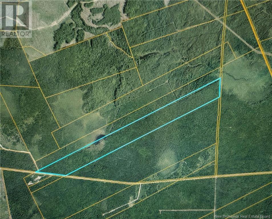 Lot Malakoff Road Property Photo 1