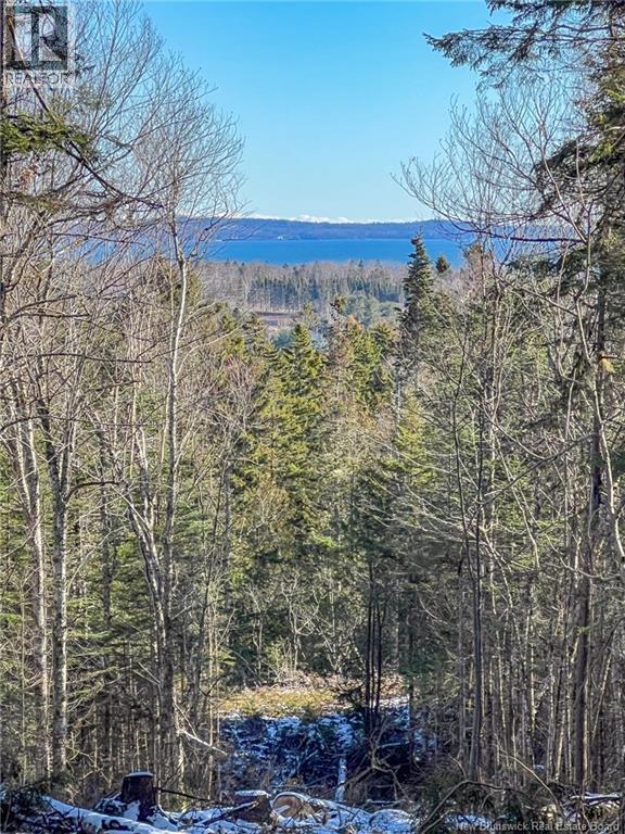 Land Chamcook Lake No 1 Road Property Photo 1