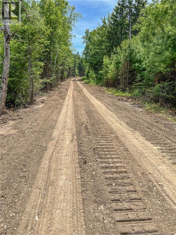 Land Chamcook Lake No 1 Road Property Photo 7